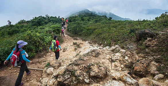 what-to-see-eat-and-explore-in-hong-kong-mid-content-8